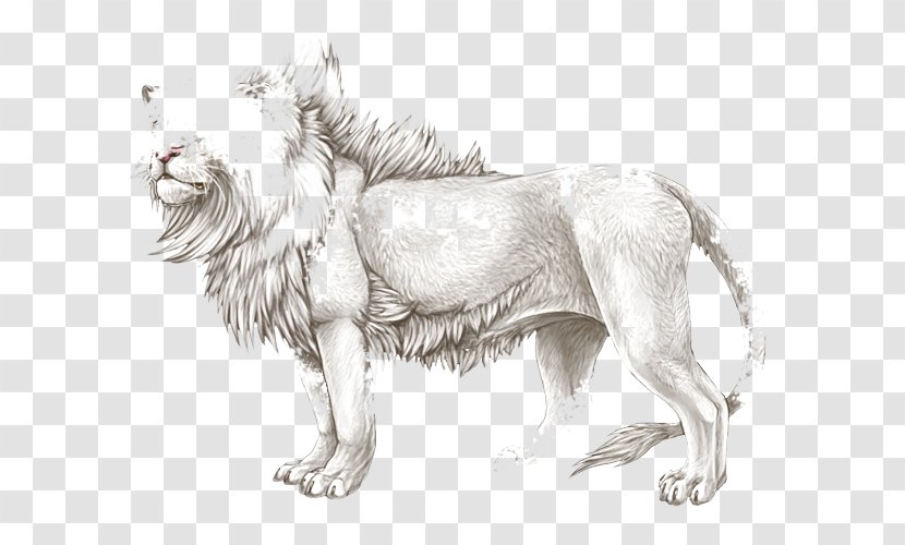 Dog Lion Cat Paw Sketch - Big Cats Transparent PNG