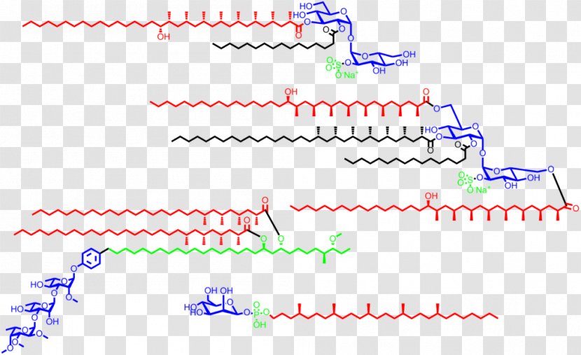 Line Point Angle Font - Plot - Chemical Biology Transparent PNG
