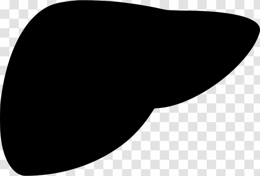 Clip Art Liver - Black And White - Kiver Transparent PNG