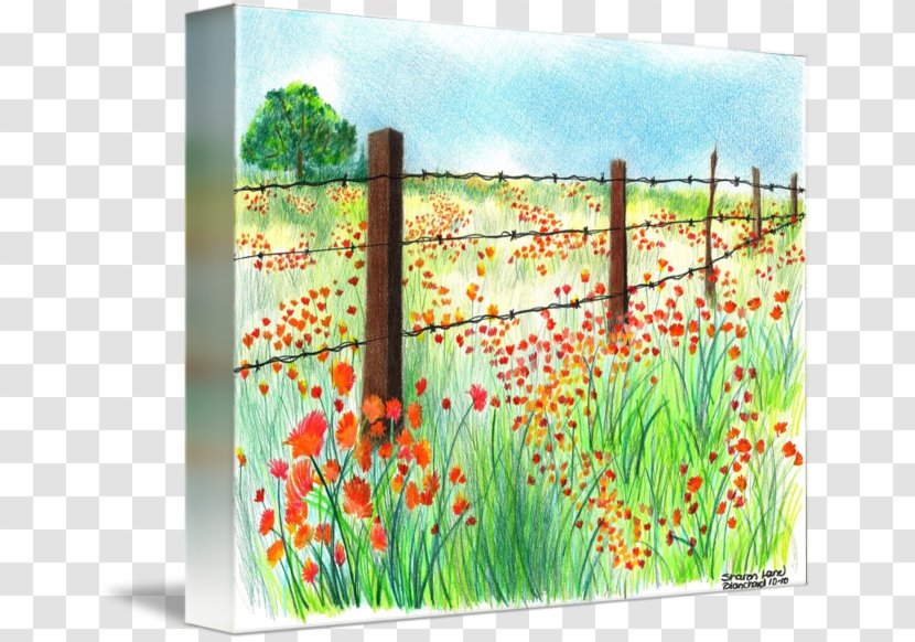 Painting Canvas Print Printing Barbed Wire - Flowering Plant Transparent PNG