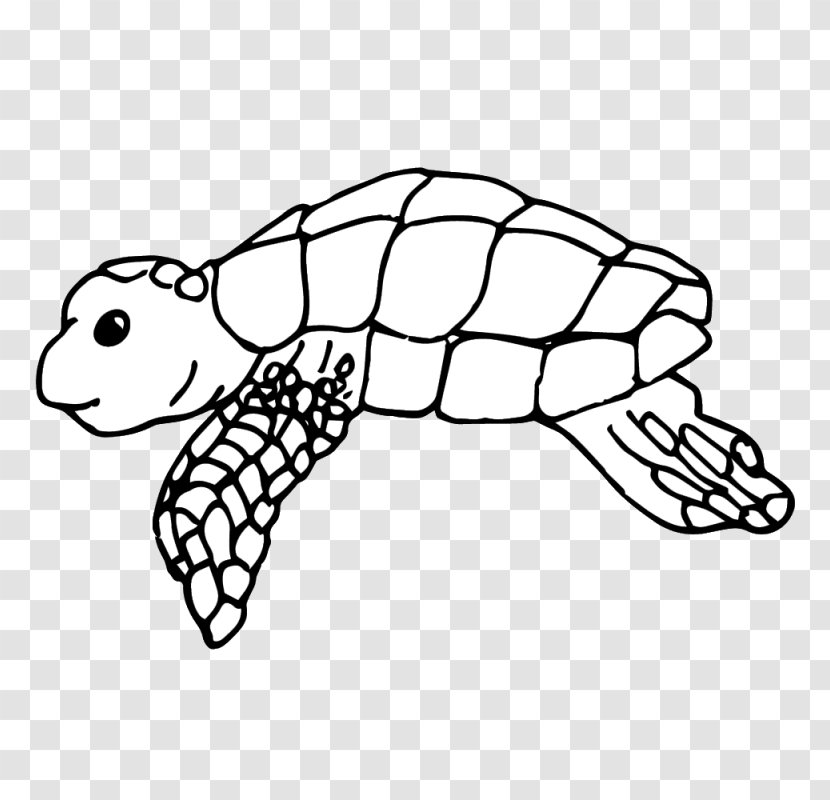 Leatherback Sea Turtle Clip Art Openclipart Image - Black And White Transparent PNG