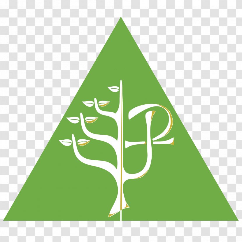 Highview College Education School Organization Logo - Leaf - Thriving Transparent PNG