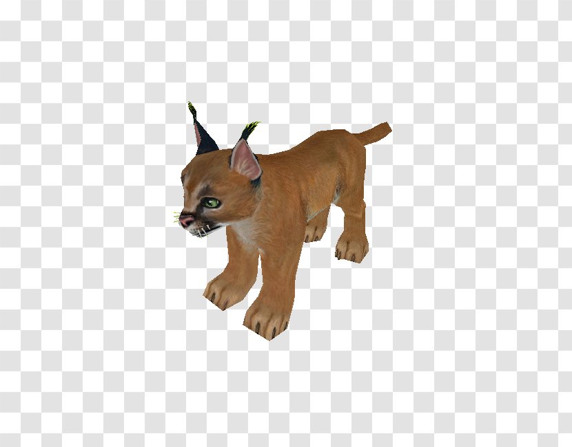 Cougar Lion Dog Breed Wildlife - Cat Like Mammal Transparent PNG