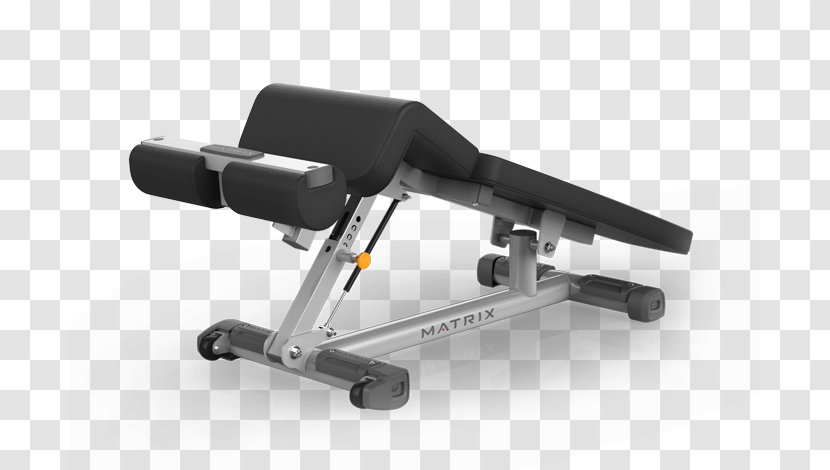 Bench Press Fitness Centre Weightlifting Machine Weight Training - Integrated Transparent PNG