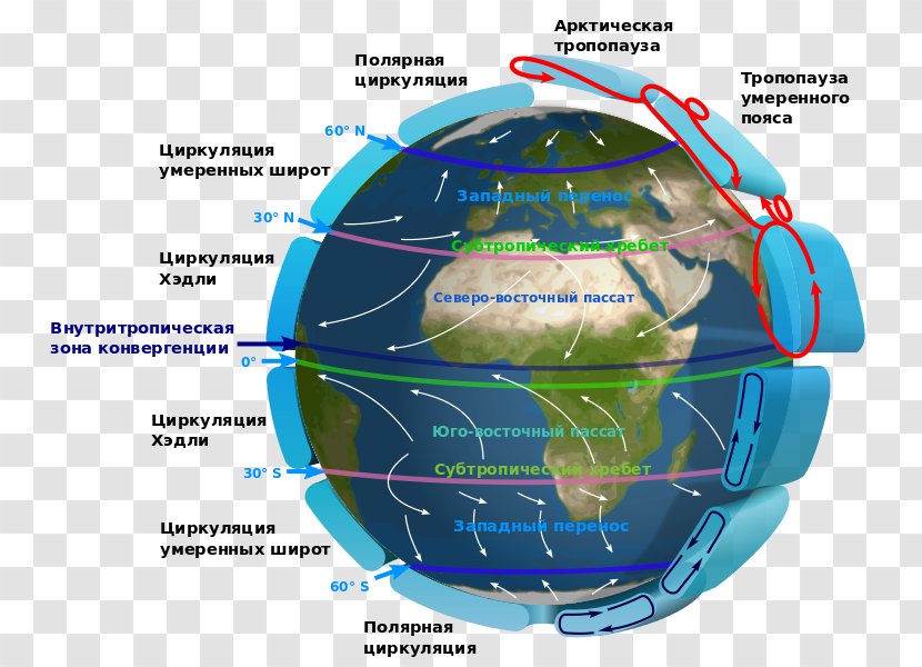 Southern Hemisphere Northern Prevailing Winds Trade - Globe - January Vector Transparent PNG