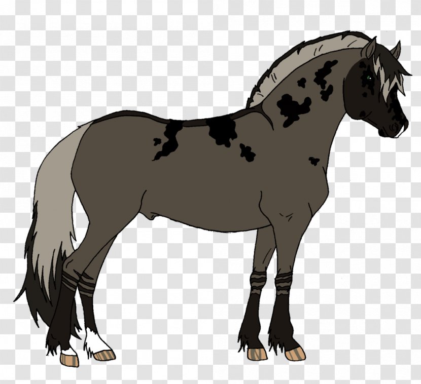 Mustang Mane Foal Mare Stallion - Horse Supplies Transparent PNG