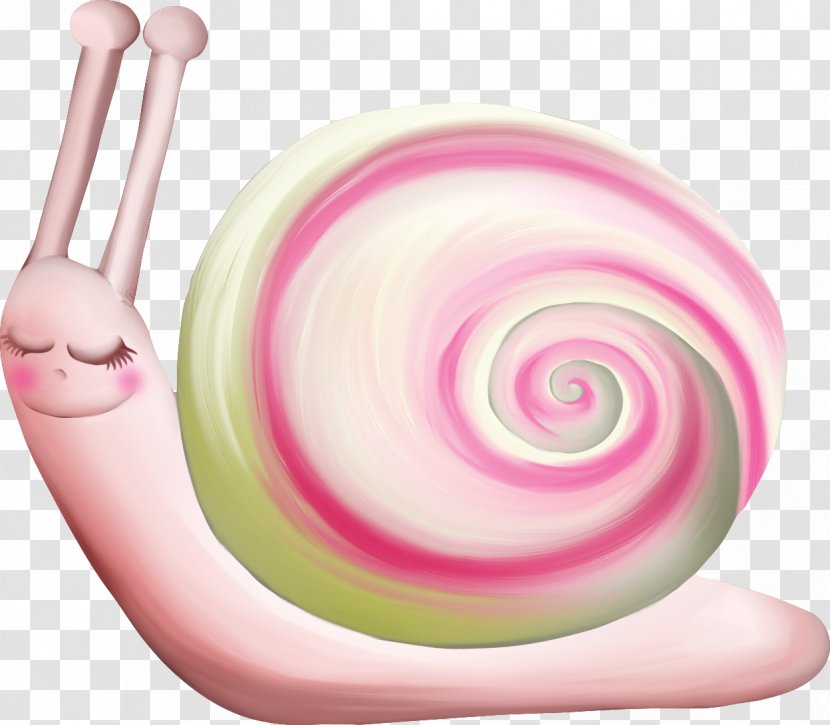 Burgundy Snail Drawing Spiral Molluscs - Pink Transparent PNG
