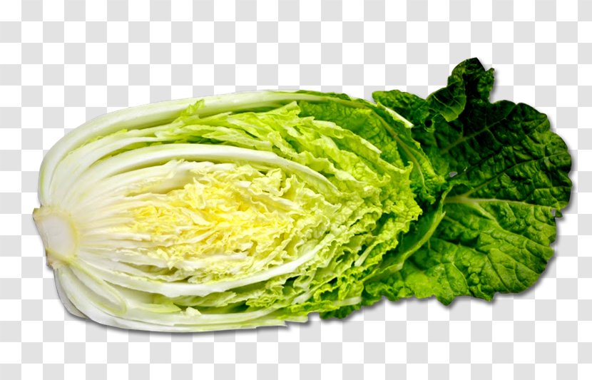 Chinese Cuisine Savoy Cabbage Red Napa Transparent PNG