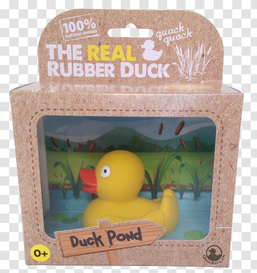 Rubber Duck Toy Yellow Plastic Transparent PNG