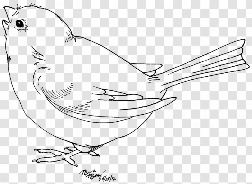 Bird Drawing Black And White Clip Art - Monochrome - Blue Transparent PNG