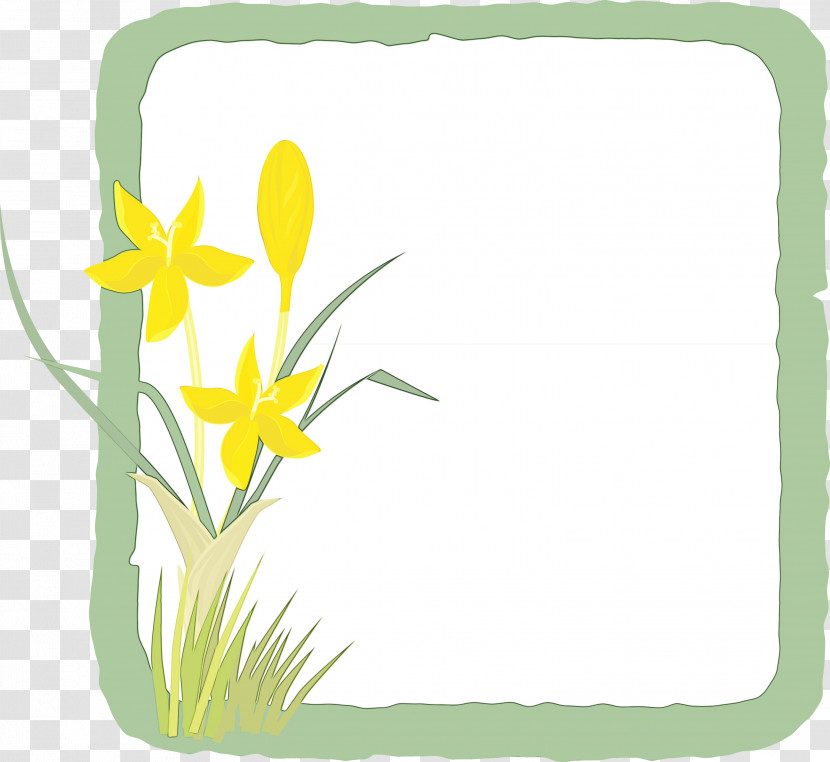 Royalty-free Vector Cut Flowers Flower Chamomile Transparent PNG