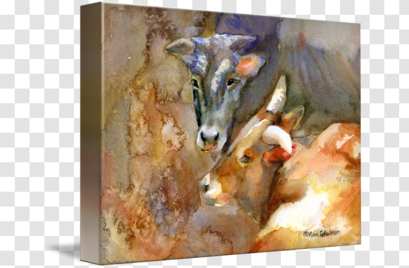 Texas Longhorn Watercolor Painting Art - Imagekind - Watercolour Animals Transparent PNG