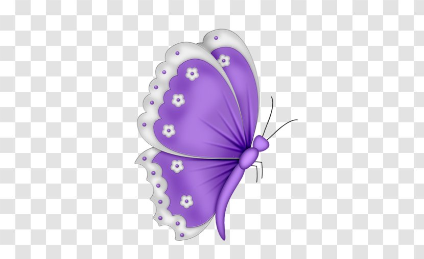 Butterfly Drawing Clip Art - Organism Transparent PNG