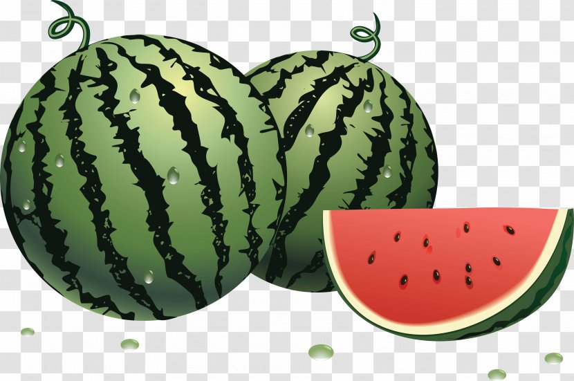 Watermelon Clip Art - Spoonflower - Image Transparent PNG