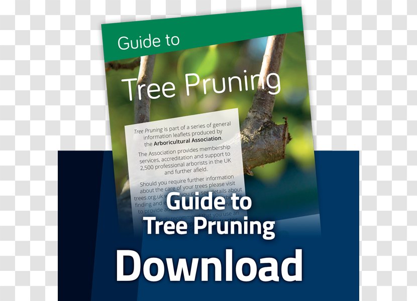 Tree Arboriculture Pruning Product Arboricultural Association - Brand - Schedule Shrubs Transparent PNG