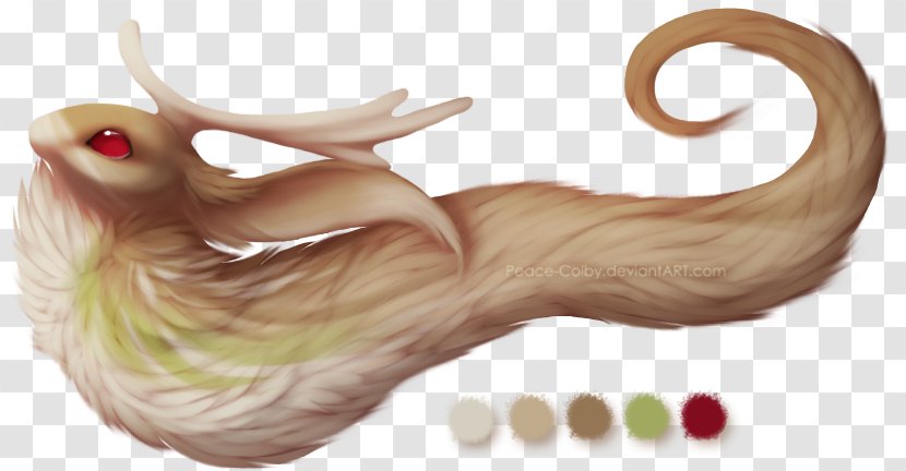 Tail Jaw - Organism - Peace Festival Transparent PNG