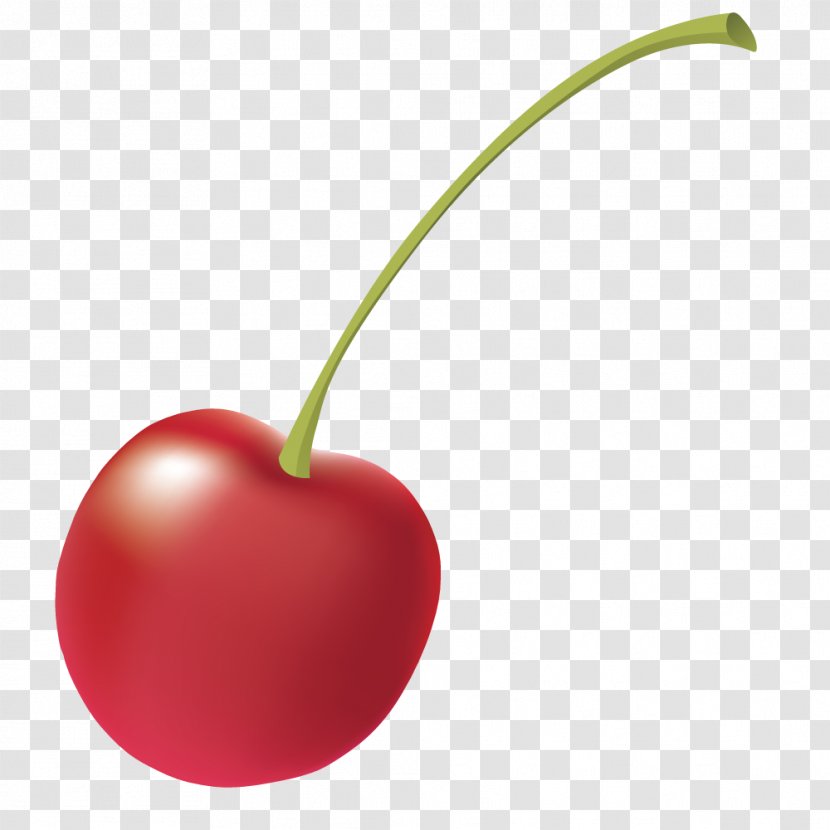 Apple Heart Superfood - Plant - Vector Cute Little Cherry Transparent PNG