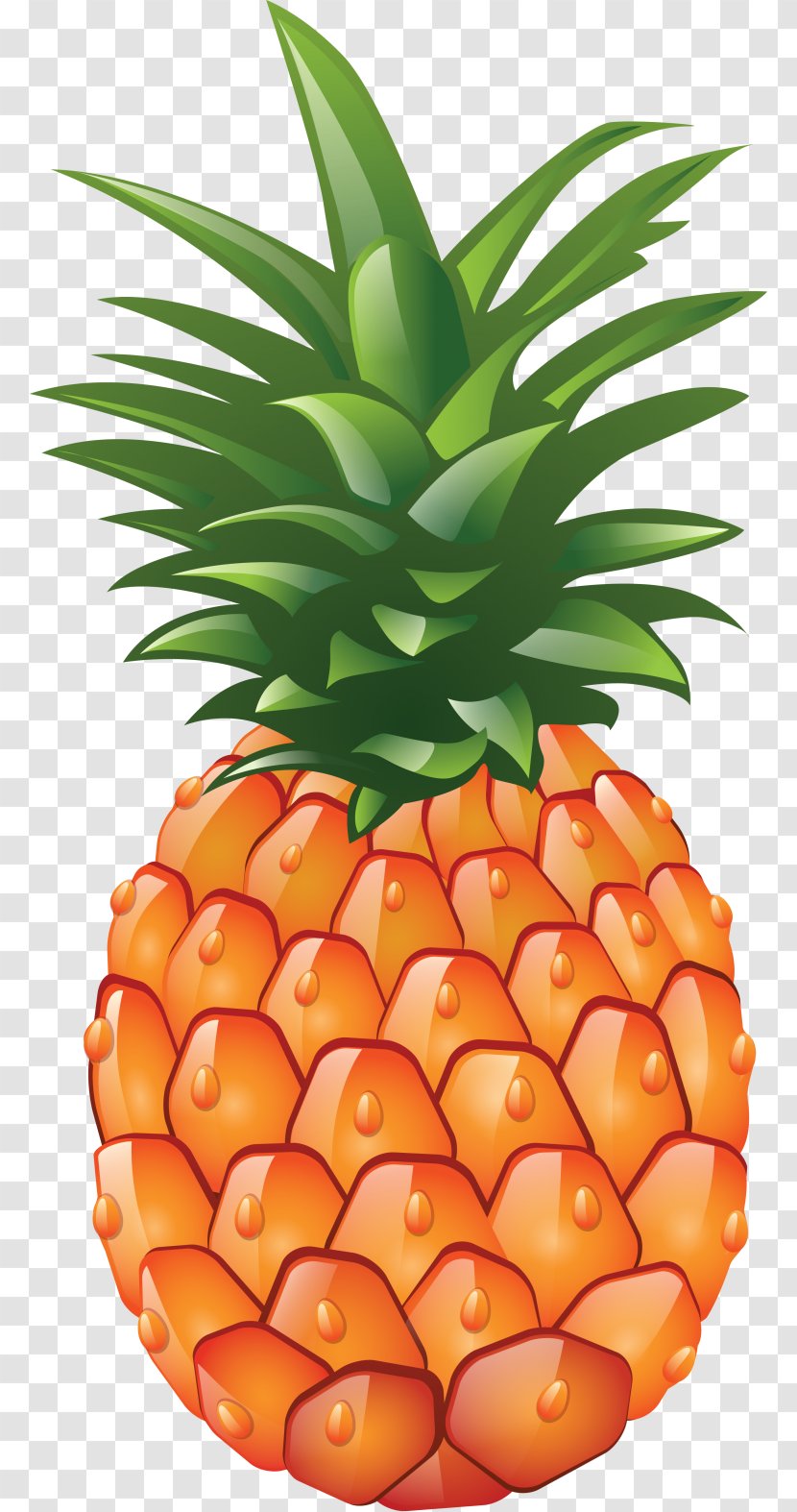 Pineapple Clip Art - Document - Artwork Transparent PNG