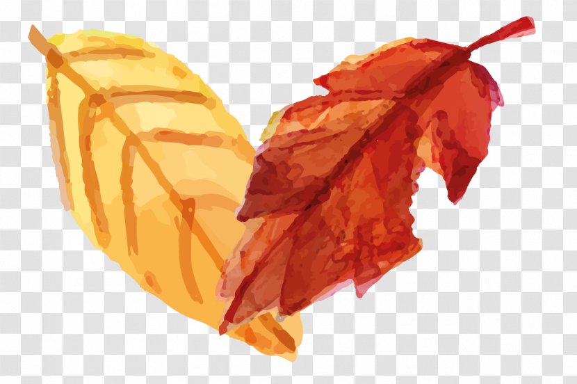 Hand-painted Leaves - Food - Aquacarotene Ltd Transparent PNG