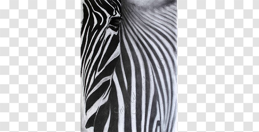 Zebra White Shoulder Sleeve - Wash Away The Dust Transparent PNG