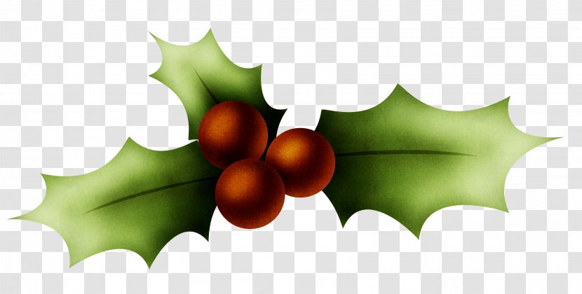 Holly Christmas Clip Art - HOLLY Transparent PNG