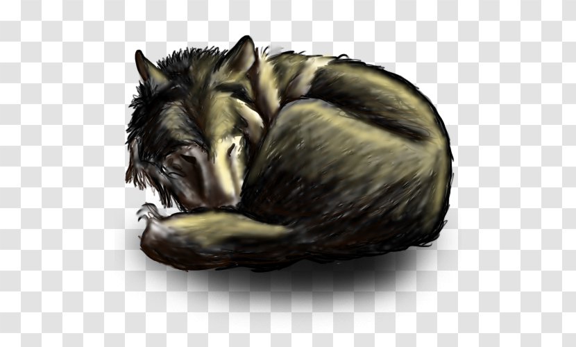 Canidae Dog Snout Fur Mammal Transparent PNG