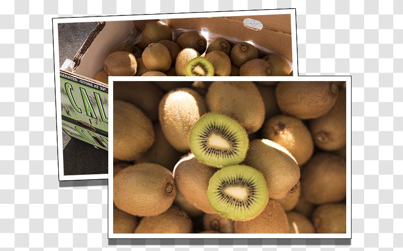 Kiwifruit Natural Foods Superfood Local Food - Kiwi Slice Transparent PNG