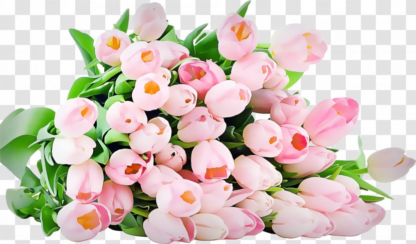 Artificial Flower - Petal - Impatiens Tulip Transparent PNG