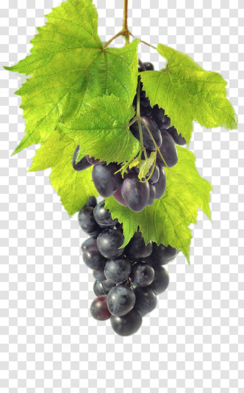 Red Wine Common Grape Vine Zante Currant Auglis - Seed Extract Transparent PNG