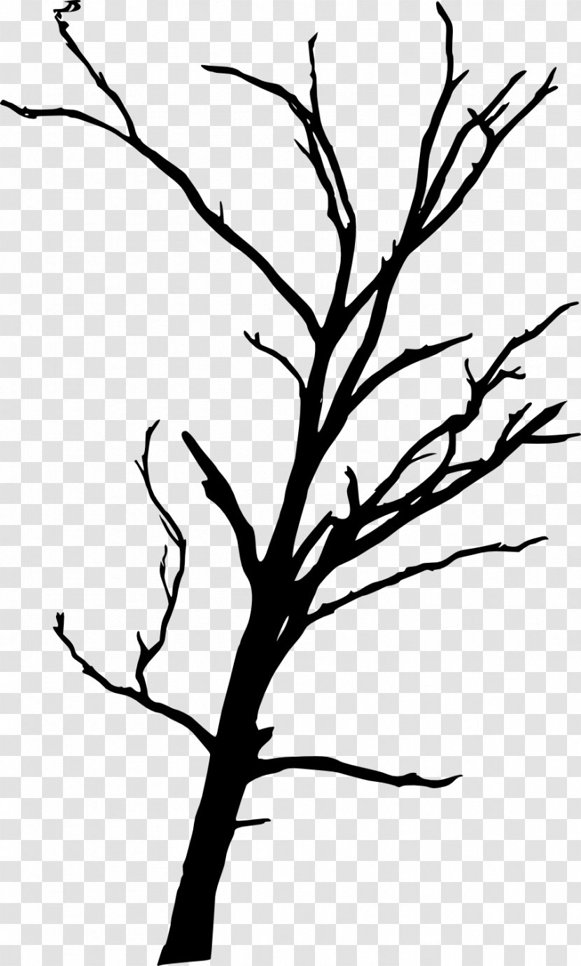 Tree Branch Woody Plant Clip Art - Dead Transparent PNG