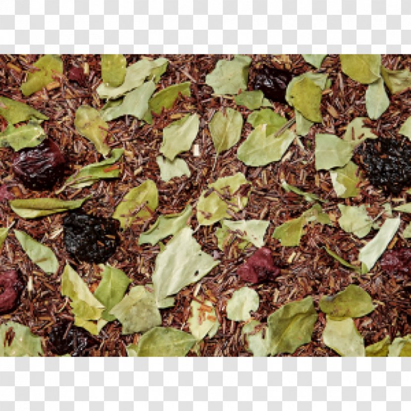 Assam Tea Green Oolong Herb Transparent PNG