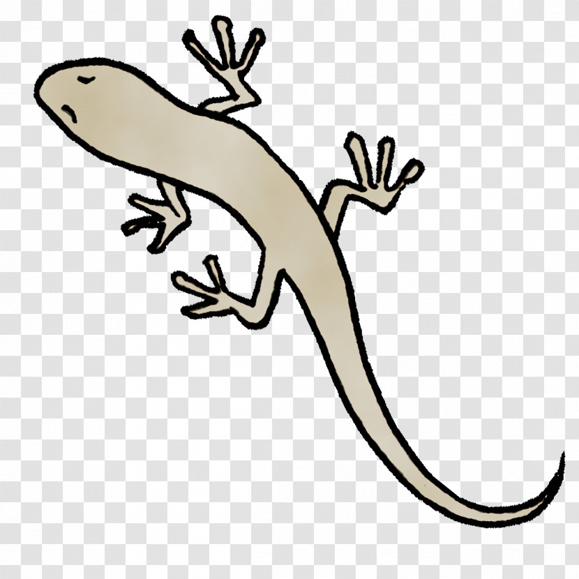 Gecko Lizard Animal Figurine Tail Science Transparent PNG