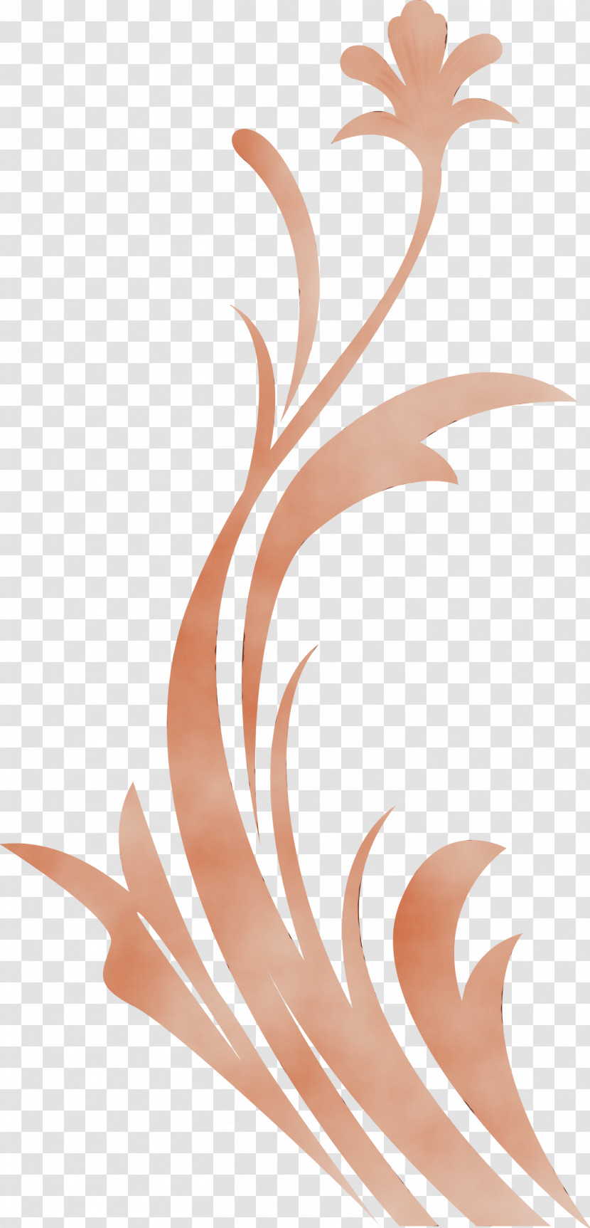 Brown Peach Plant Transparent PNG