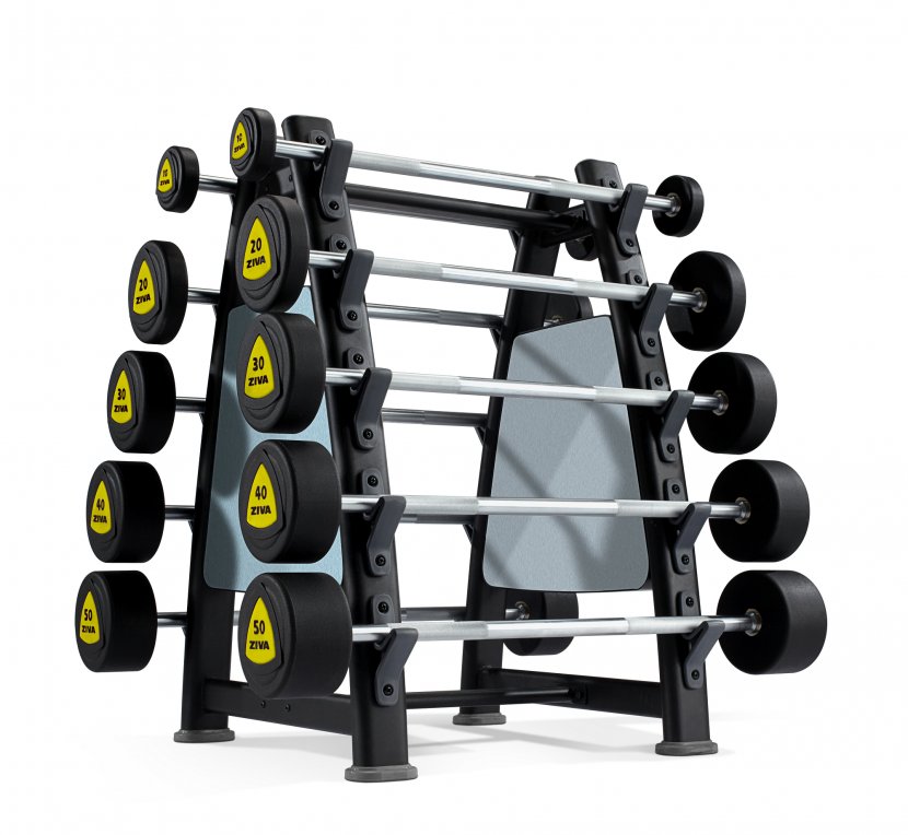 Barbell Physical Fitness Dumbbell Centre Exercise Machine Transparent PNG