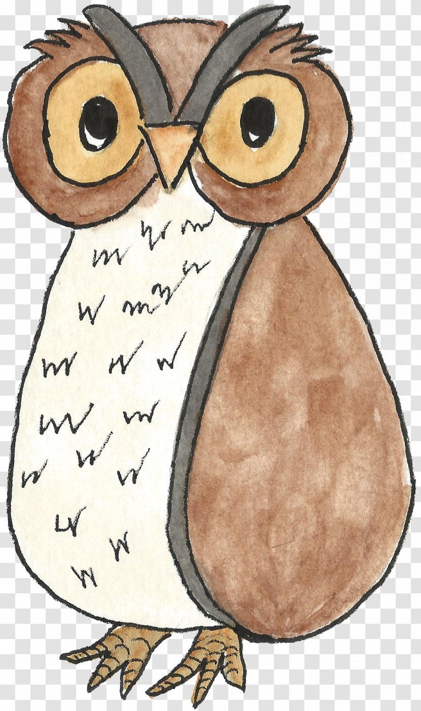 Owl Beak Clip Art - Bird - Watercolor Transparent PNG