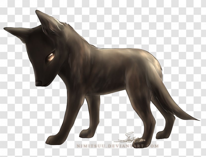 Cat Dog Breed Snout Transparent PNG