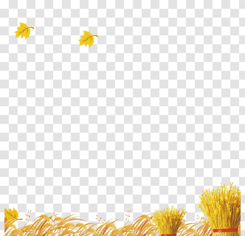 Yellow Pattern - Autumn Harvest Transparent PNG