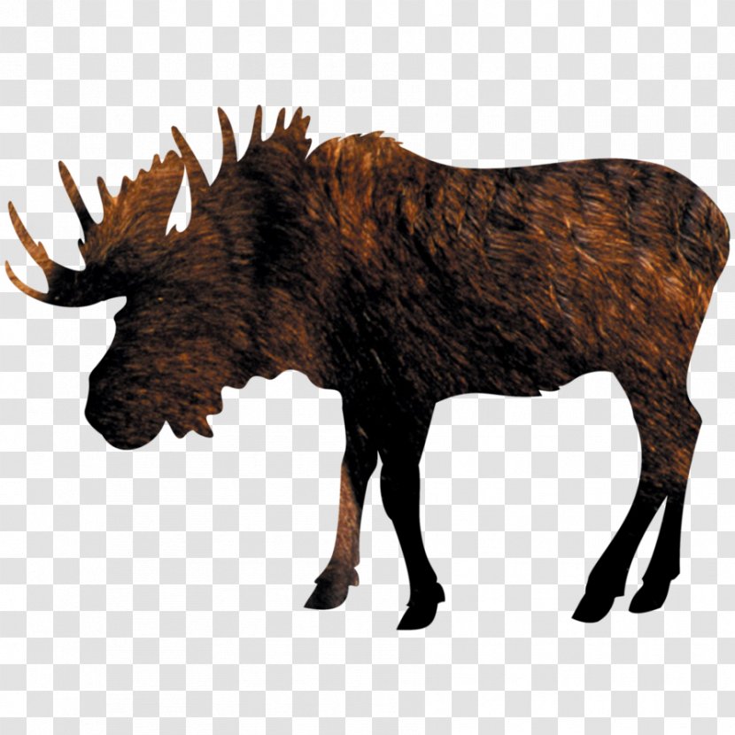 Moose Clip Art - Royaltyfree - Reindeer Transparent PNG