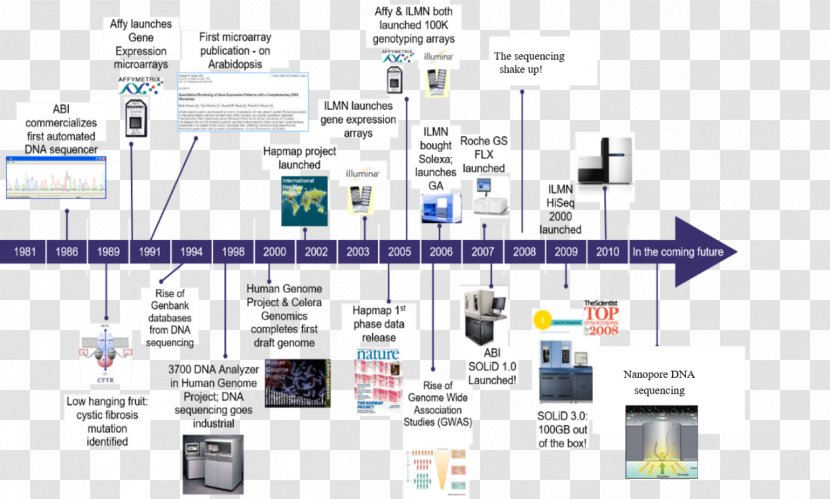 Human Genome Project DNA Sequencing Massive Parallel - Computer - Chronological Table Transparent PNG