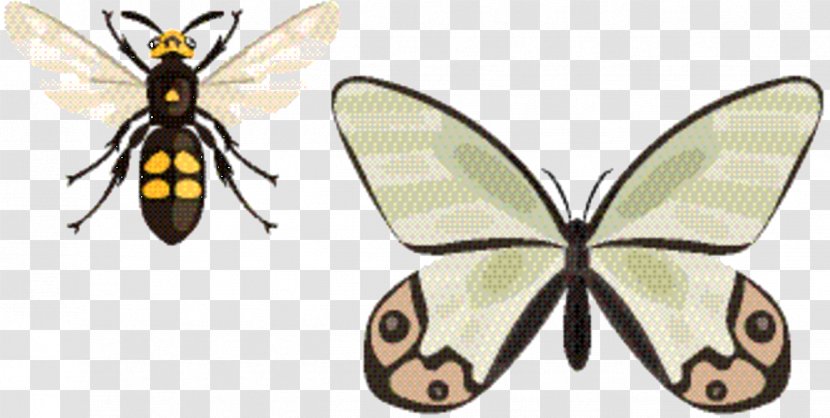 Tiger Cartoon - Moth - Emperor Moths Papilio Transparent PNG