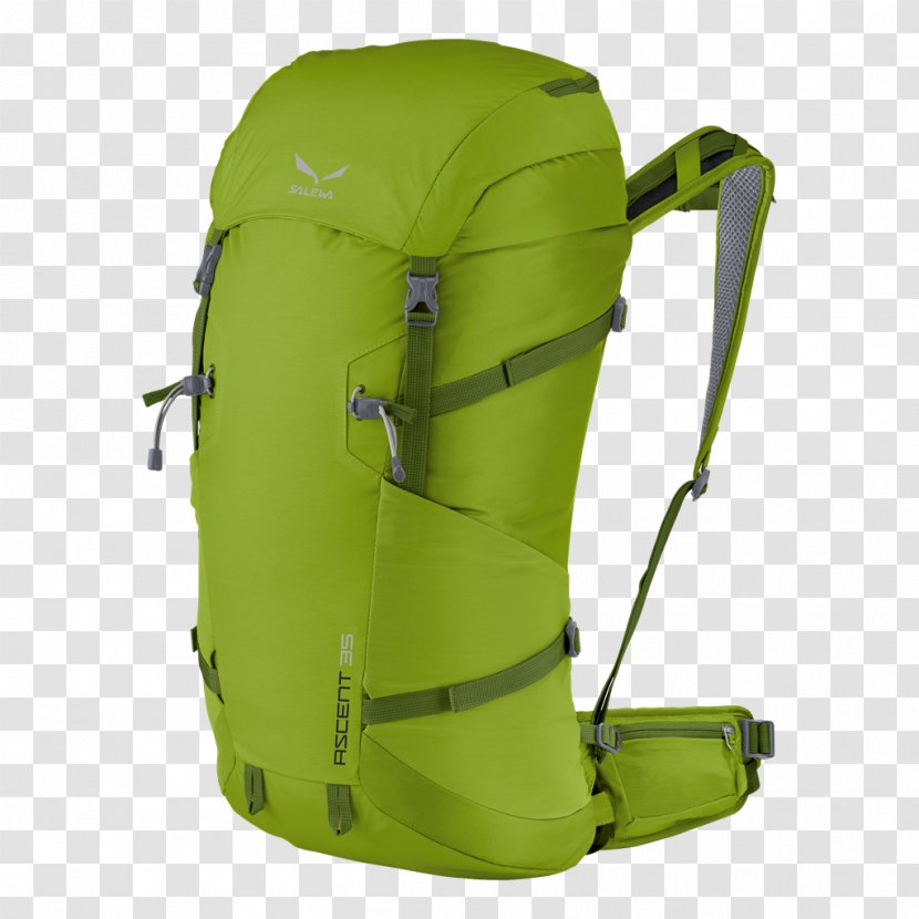 Backpack Salewa Ascent 24 CREST BP Davos 00-0000001143 Hiking OBERALP S.p.A. Transparent PNG