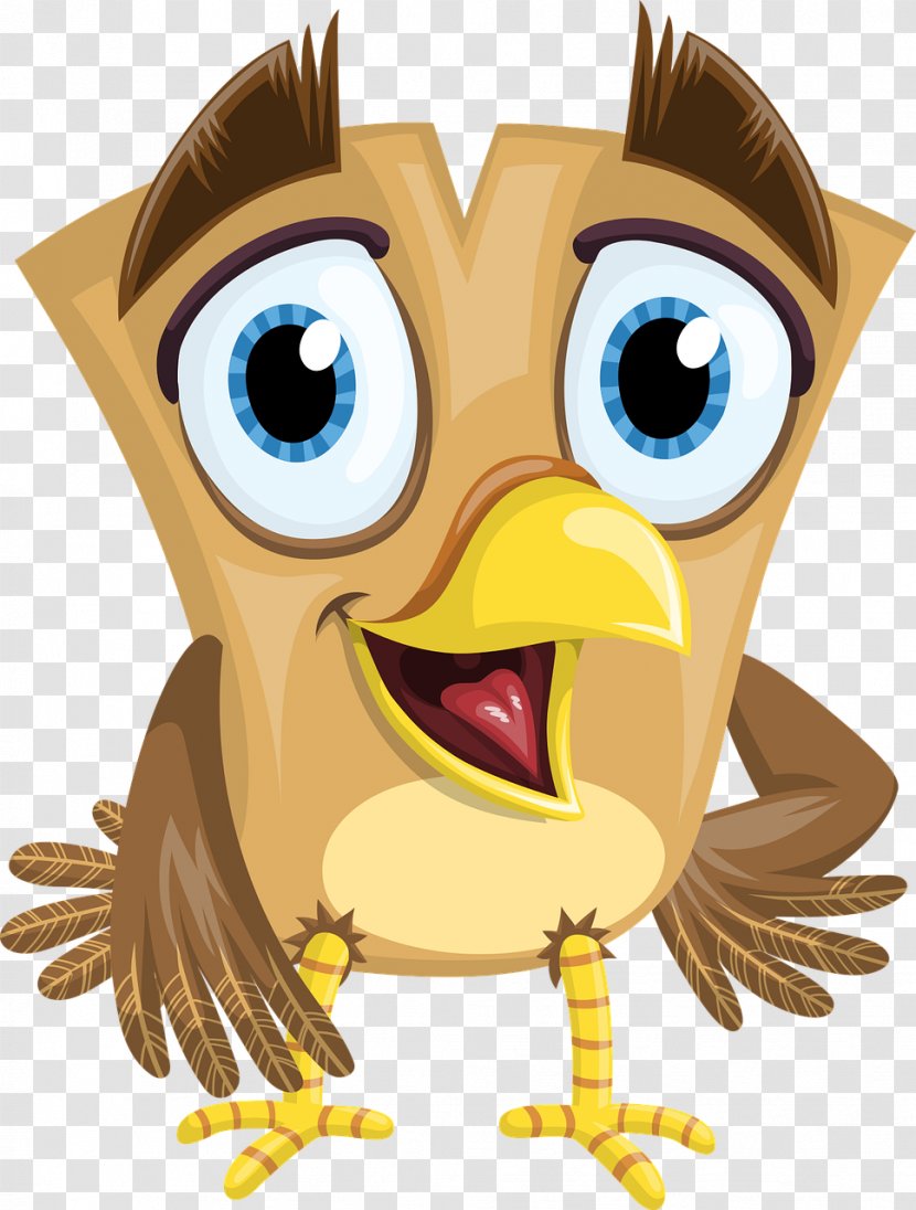 Bird Owl Beak - Vertebrate Transparent PNG