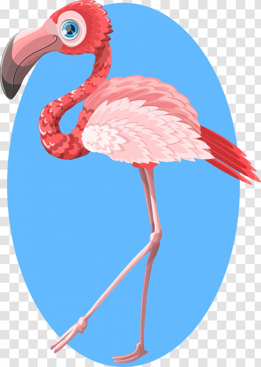 Flamingo Paper Clip Art - Water Bird - Red Ostrich Transparent PNG