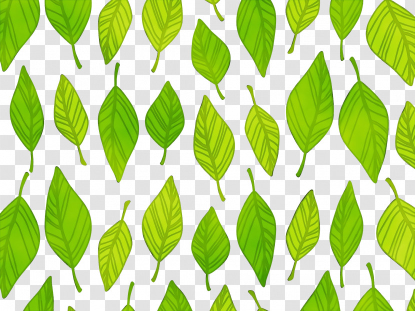 Leaf Green Pattern Plant Tree Transparent PNG