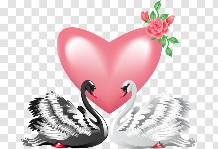 Black Swan Royalty-free Clip Art - Watercolor - Couple Transparent PNG