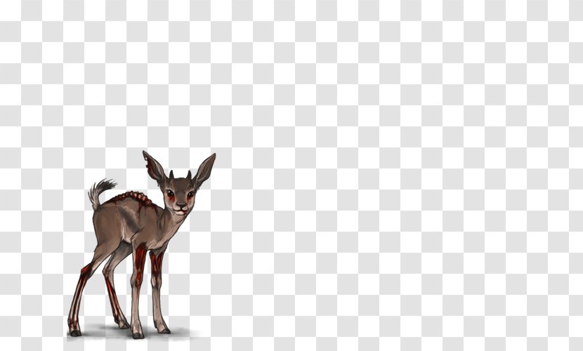 Antelope Lion Deer Cheetah Gazelle - Wildlife Transparent PNG