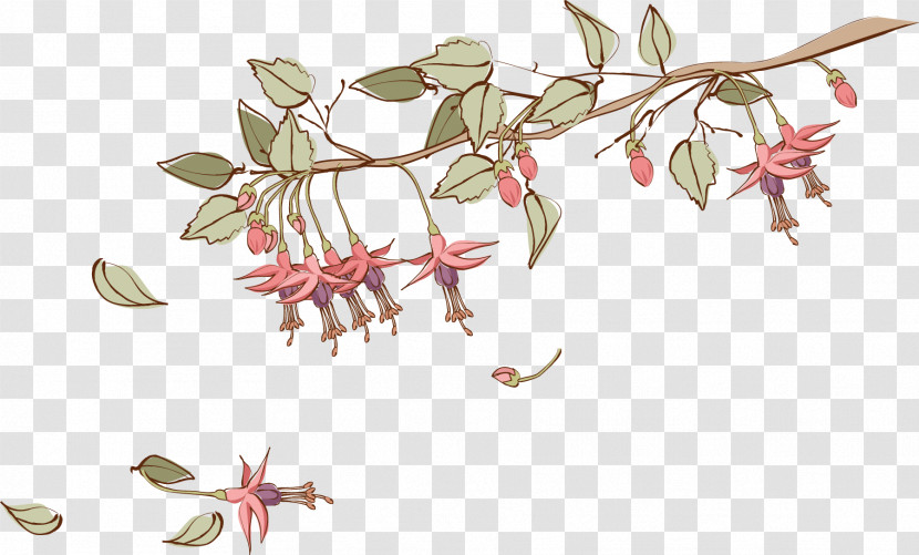 Flower Plant Pedicel Honeysuckle Fuchsia Transparent PNG