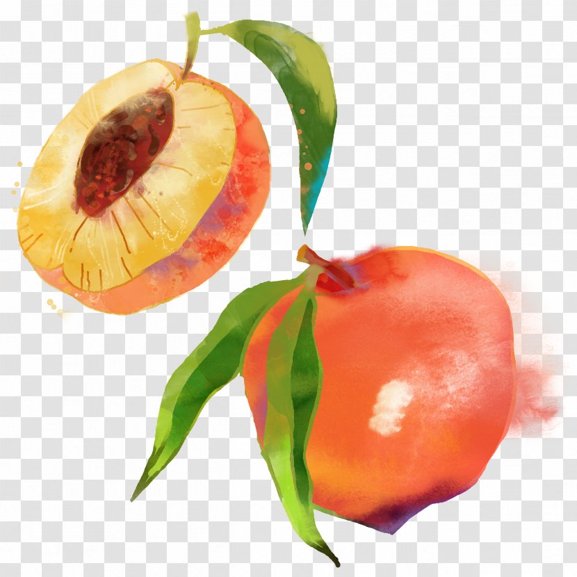 Saturn Peach Fruit Watercolor Painting - Hand-painted Transparent PNG