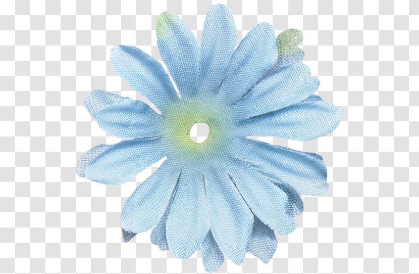 Transvaal Daisy Petal - White Transparent PNG