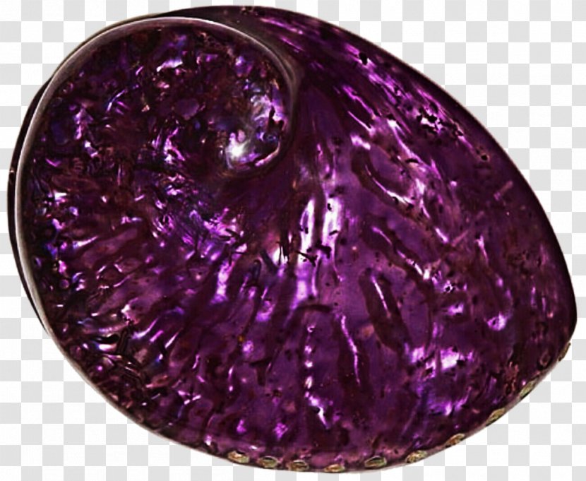 Amethyst Violet Purple Lilac Magenta - Gemstone - Seashell Transparent PNG
